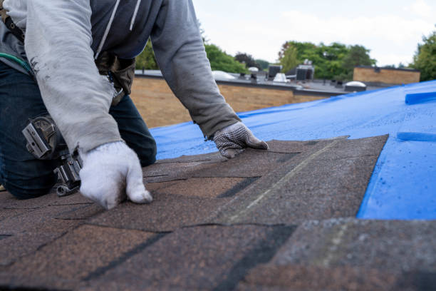 Best Roof Gutter Cleaning  in Litchfield, IL