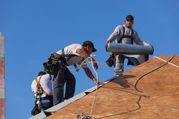 Best Commercial Roof Installation  in Litchfield, IL