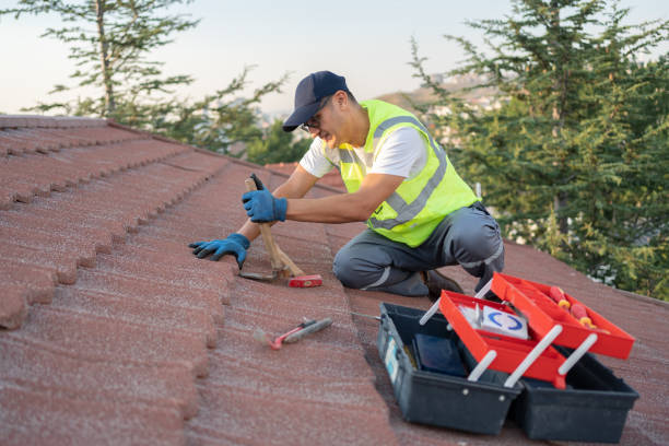 Best Roof Restoration Services  in Litchfield, IL