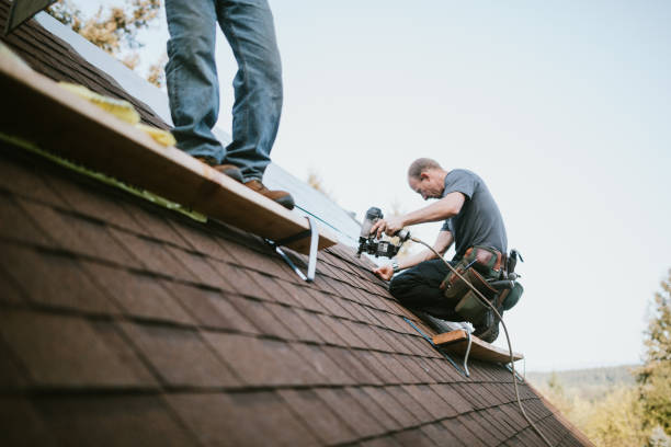 Best Roof Gutter Cleaning  in Litchfield, IL